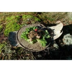 Kupilka Kaarna M - Planche à Découper-Original (Marron) -Camping Soldes kupilka kaarna m planche a decouper original marron 2